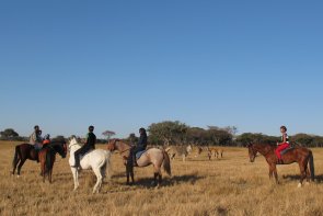 mukuvisi horse safaris